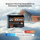 Humsienk 12V 100Ah LiFePO4 Lithium Battery