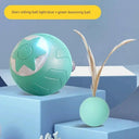 Smart Cat Teasing Ball for Curious Cats