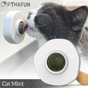 Interactive Cat Toy Ball for Dental Health and Fun Play