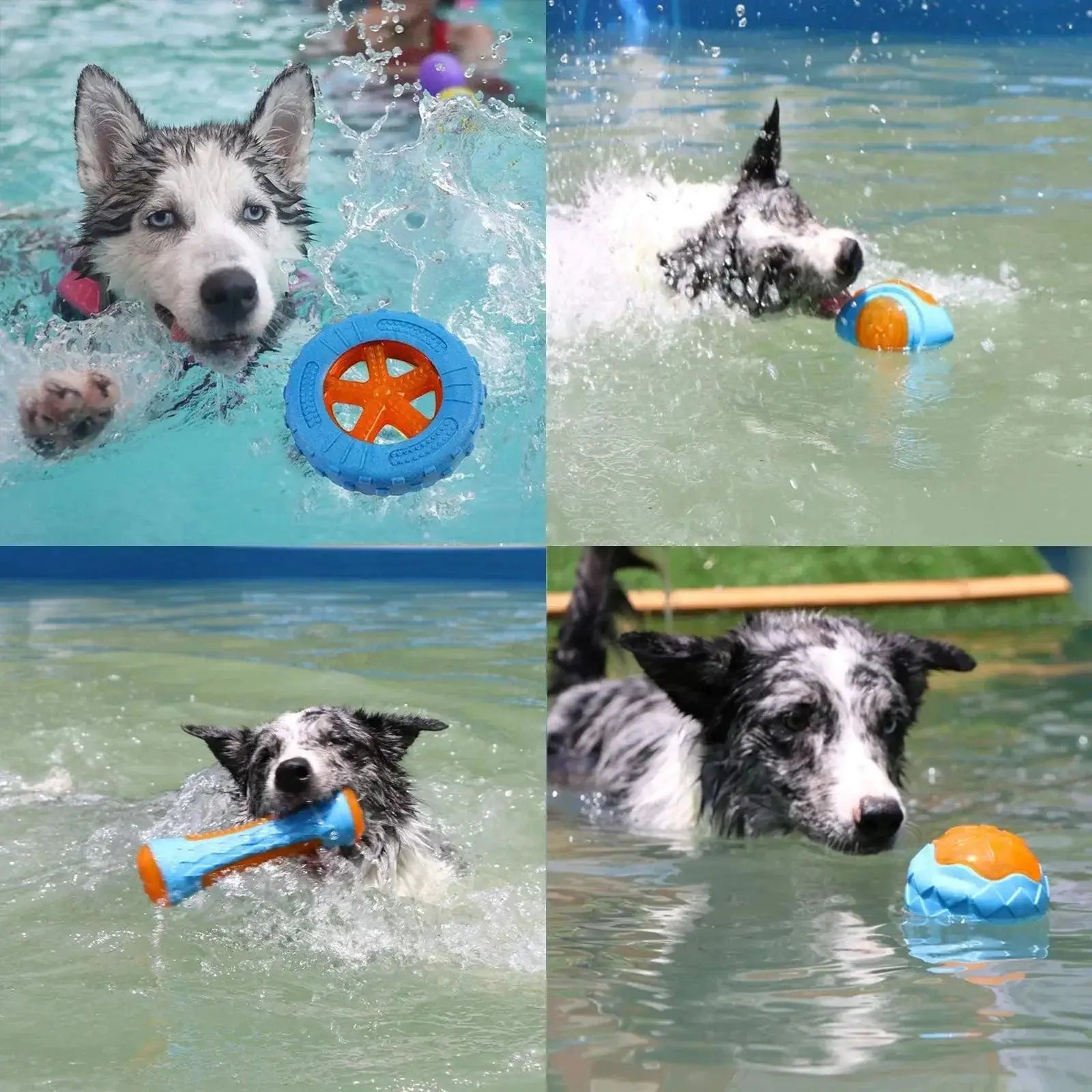 Durable Rubber Dog Chew Toys For Large Breed Dental Health