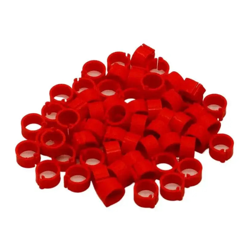 Birds Feet Rings Plastic Clip Ring Variety Pack For Pigeons