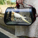 FeatherTrail Parrot Travel Carrier With Perch Backpack