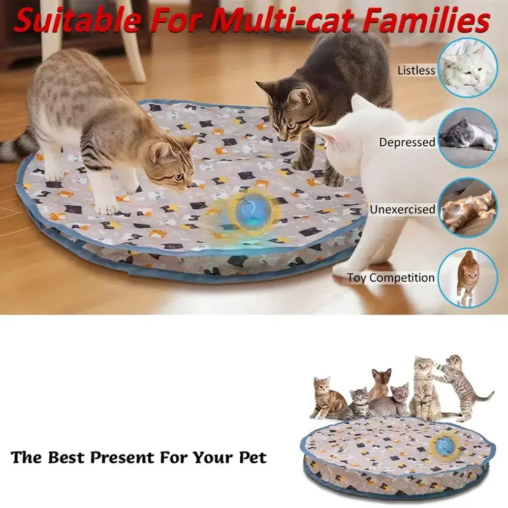 Interactive Cat Toy Ball Fast Rolling Pouch Kitten Toy
