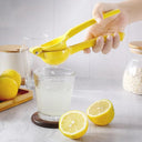 Portable Aluminum Lemon Squeezer & Mini Blender Kit Set