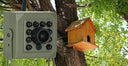 Smarter Bird Box Camera for Birdwatchers