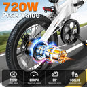 Foldable Electric Bike For Adults