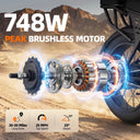 Xfive two zero Inch Fat Tire Electric Bike