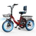 Qlife Triker - Fat Tire