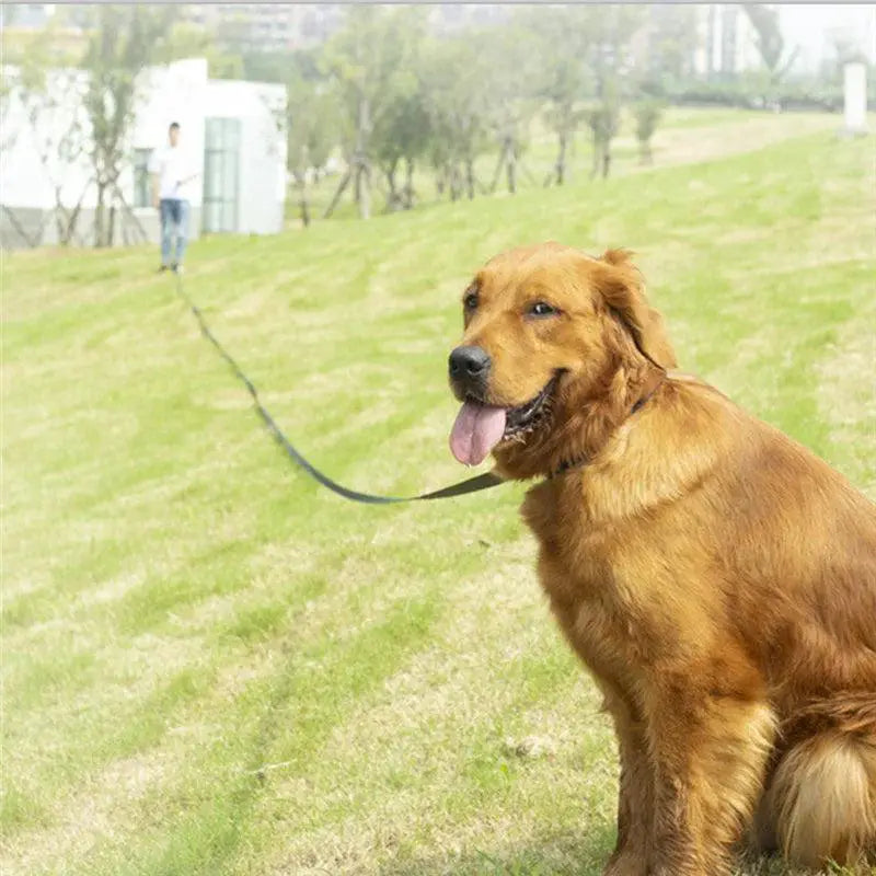 Long Dog Leash With Comfortable Handle For All Sizes