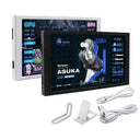 5.2 Inch IPS Secondary Monitor