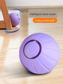 Autonomous Jumping Ball Cat Toy Indoors