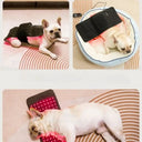 Red Light Therapy Pad For Dogs Pain Relief Fast At Home Veterinary Device