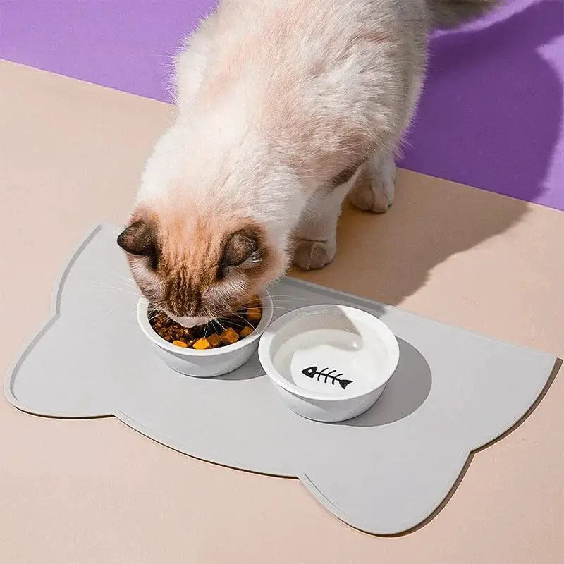 Spill Proof Pet Feeding Mat for Dogs — product view