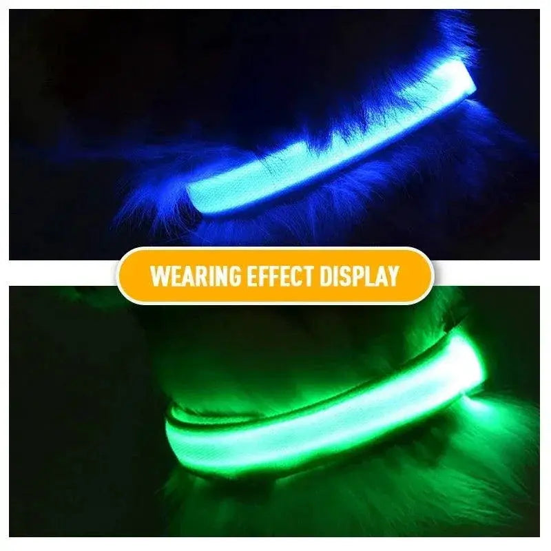 LED Dog Collar Safety Night Light Flashing Necklace