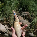 Glow Squid Lure For Anglers More Fish
