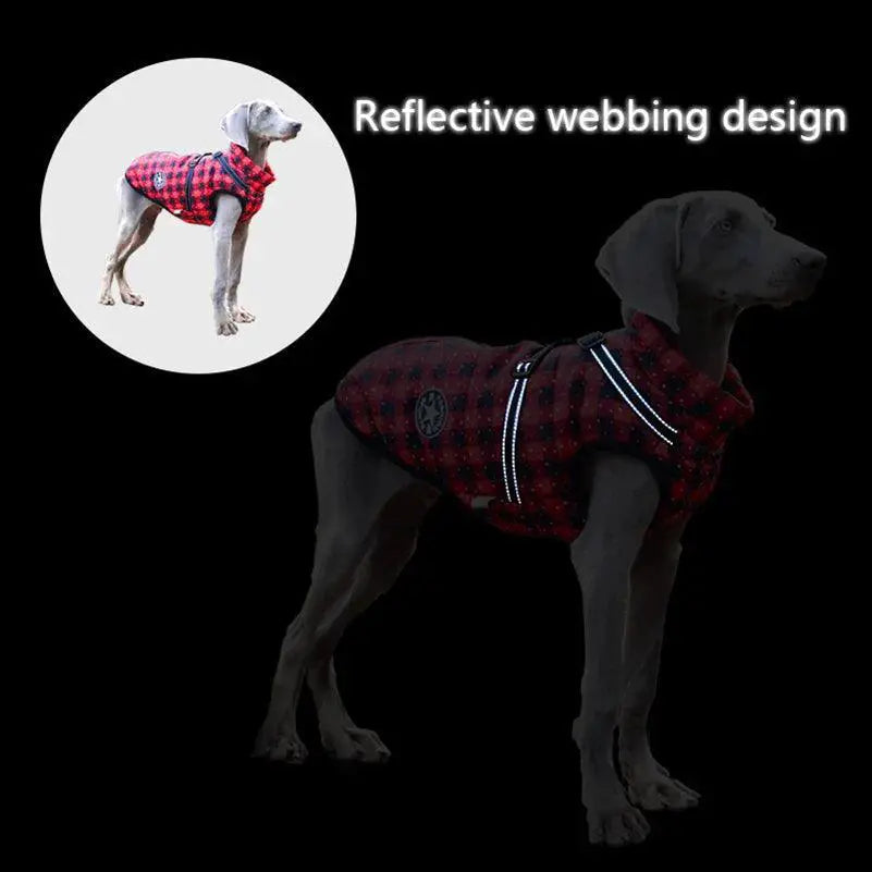 Winter Dog Coat Vest for Small Chihuahuas Warm Stylish