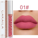 Velvet Matte Lip Gloss Rich Colors Long Lasting Moisturizing
