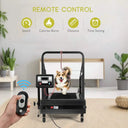 Foldable Dog Walking Pad Treadmill Extra Large Dogs Home Gym 3HP