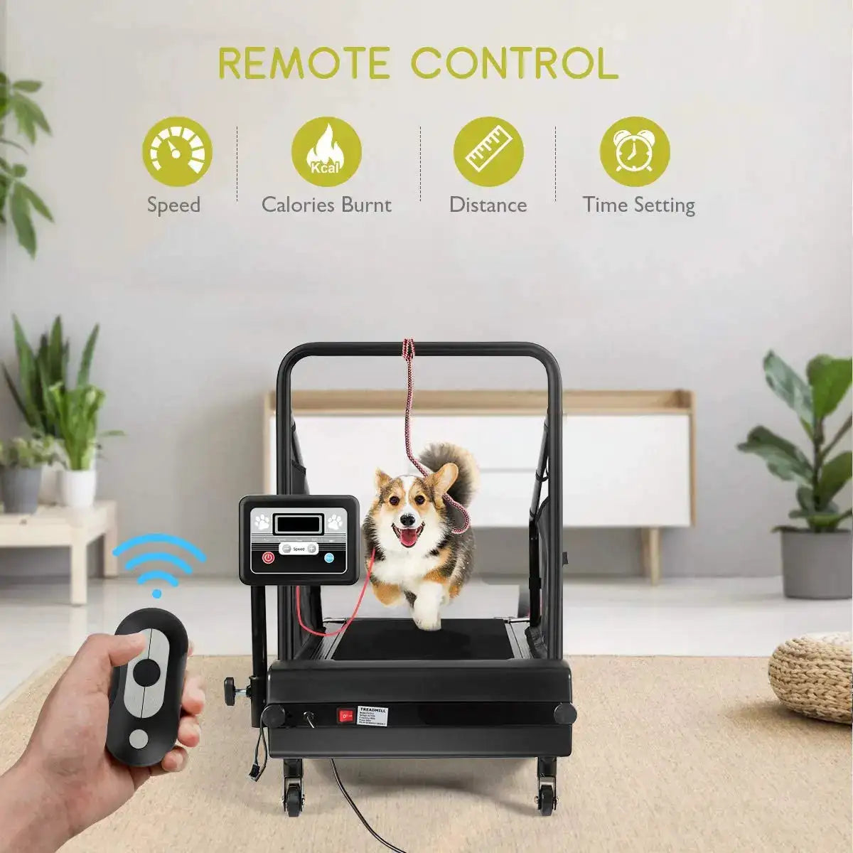 Canine Walking Pad Running Pet Fitness Solution Advanced Electric Extra Large Manual Machine Treadmills Dog Treadmill for Dogs