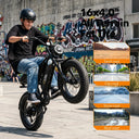 Qlife Spark D1 Fat Tire Electric Bike