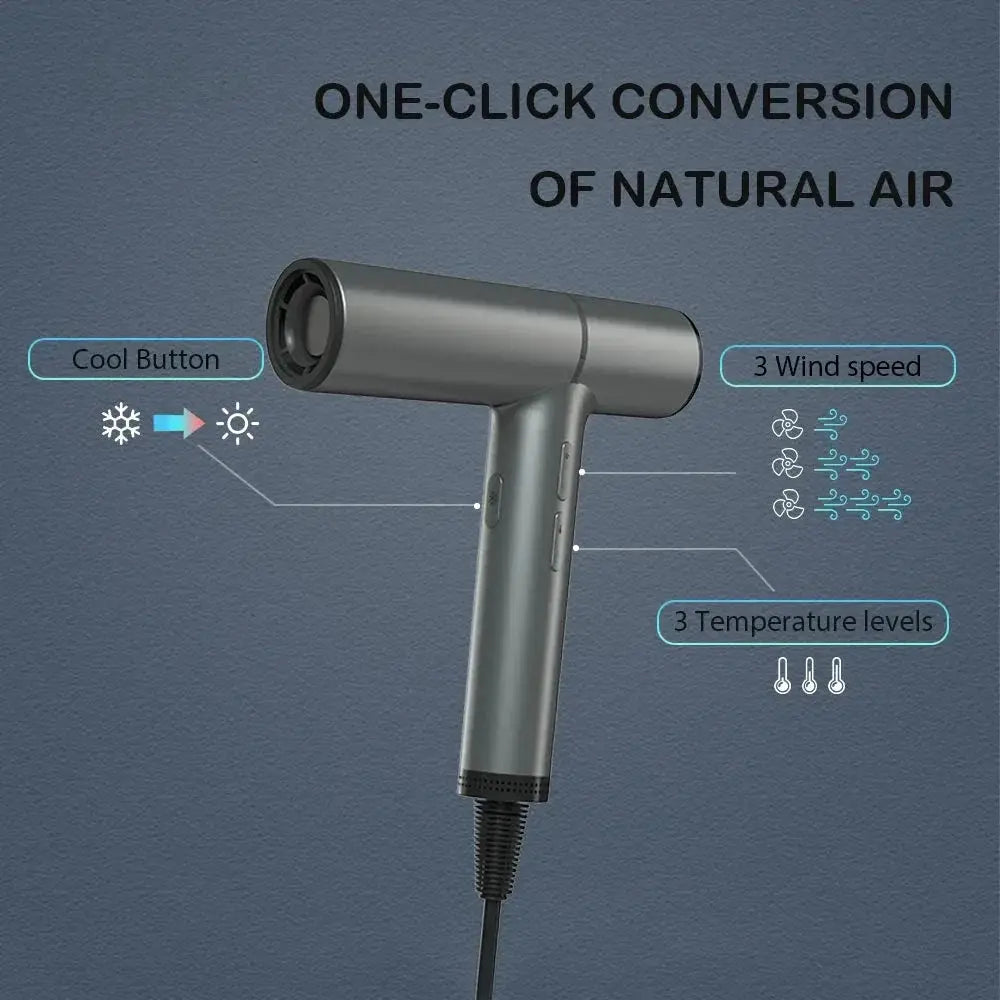 Brushless Motor Hair Dryer 110000rpm Negative Ion Pro Edition