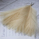 Low Maintenance Pampas Bouquet for Decor