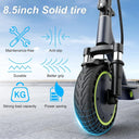 Roinside Scooter - Long Range Fold