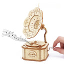 3D Wooden Gramophone Music Box Puzzles Kits DIY Gift Set
