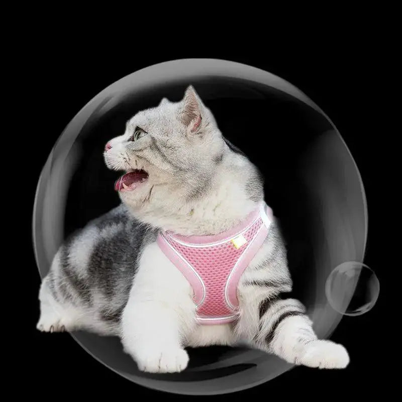 Escape Proof Cat And Dog Harness Set With Leash For Pets