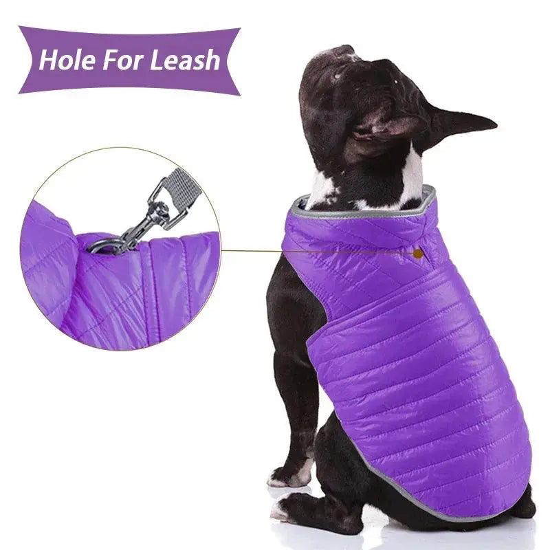 Reflective Reversible Coat For Chihuahua French Bulldog
