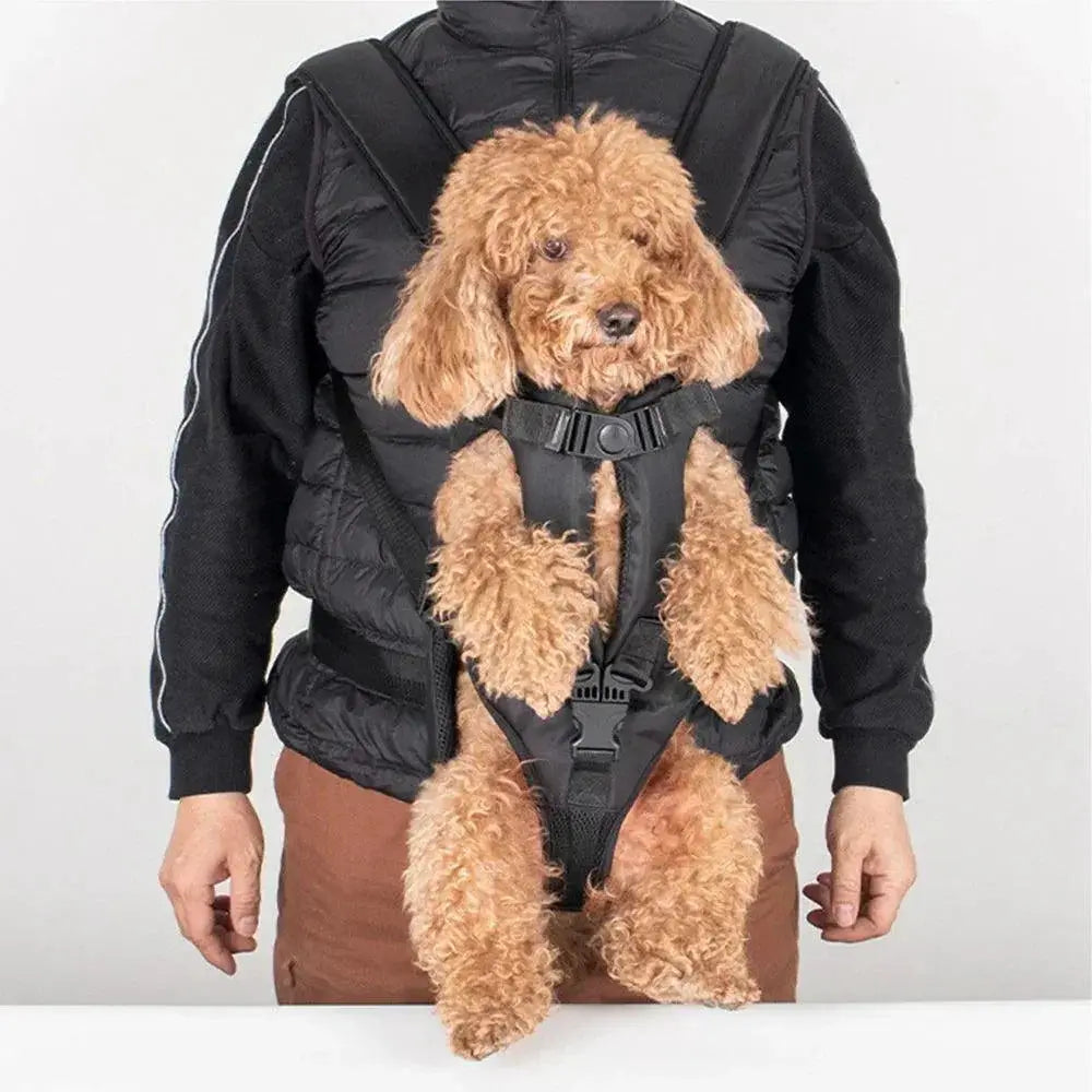 PawVoyage Dog Carrier Backpack Safe Travel Companion
