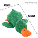 Large Dog Self-Hi Corgi Consumes Small Yellow Duck Toy