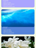 Type-C Charging Wireless Automatic Aerosol Dispenser Aromatherapy Fragrance