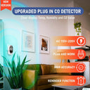 Essential Indoor Carbon Monoxide Alarm