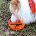 Portable Silicone Dog Bowl for Outdoor Adventures Feeder