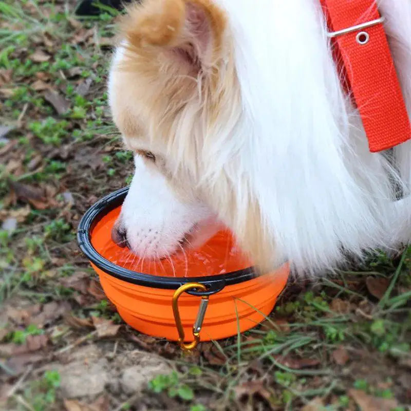 Portable Silicone Dog Bowl Collapsible Travel Feeder
