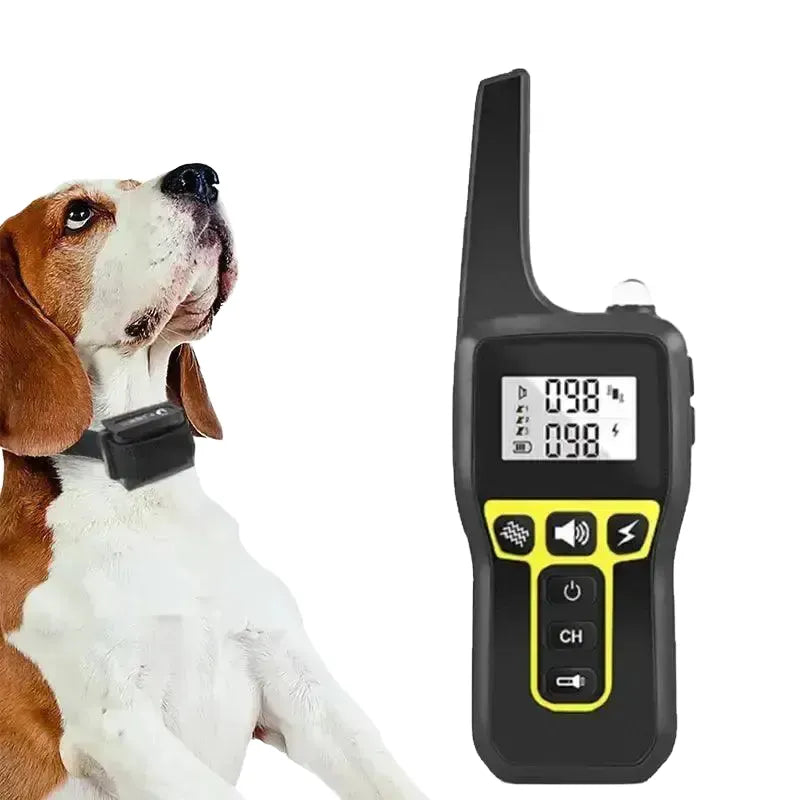 Bark Control Dog Collar for Training — Black Nylon collar