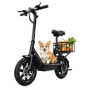 DYU C4 Folding Electric Bike Mini