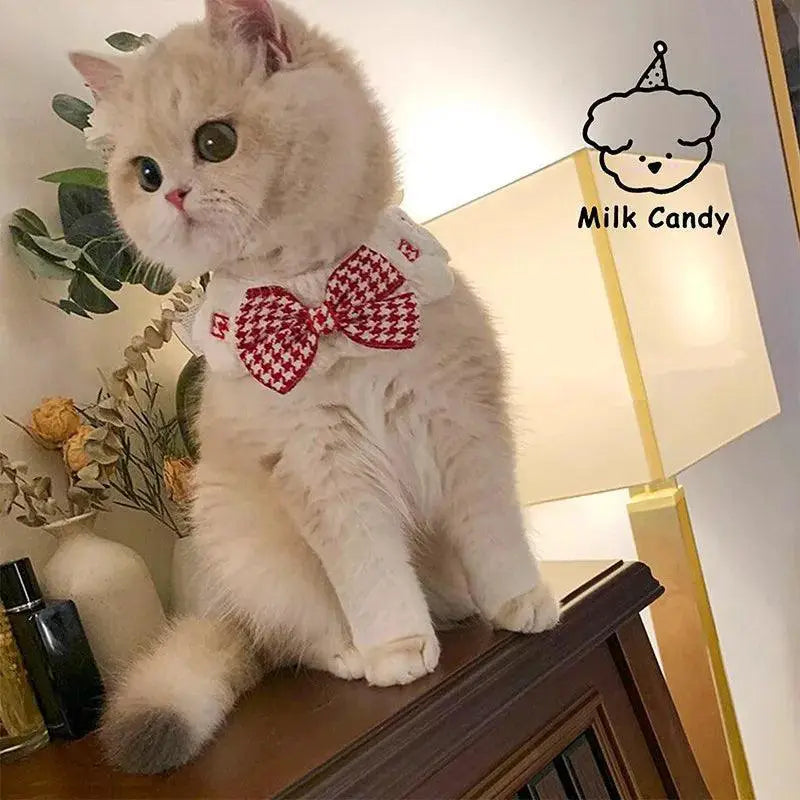 Luxurious Pearl Dog Collar And Jewelled Cat Necklace