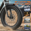 1500W Electric Fat Tire Bike Adult
