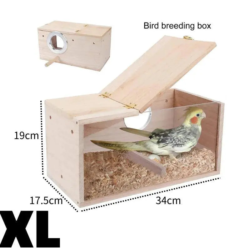 Transparent Acrylic Bird House Ultimate Visibility Safe