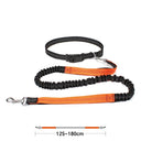 High Quality Hands-Free Dog Leash with Dual Bungee for Large Dogs