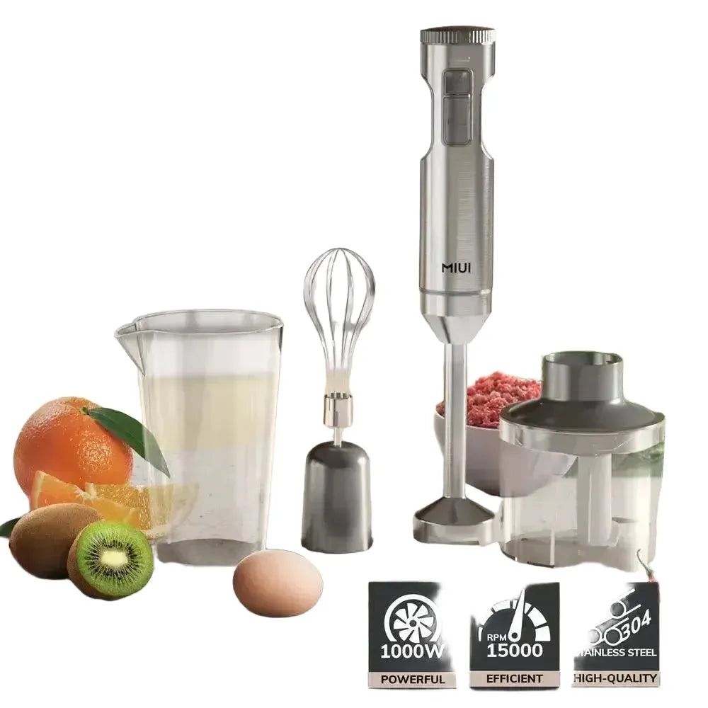 MIUI Hand Immersion Blender in Stainless Steel — product view 1