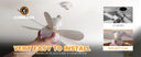 Efficient Ceiling Fan Light for Offices