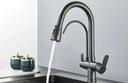 Filtered Water Kitchen Faucet For Homes