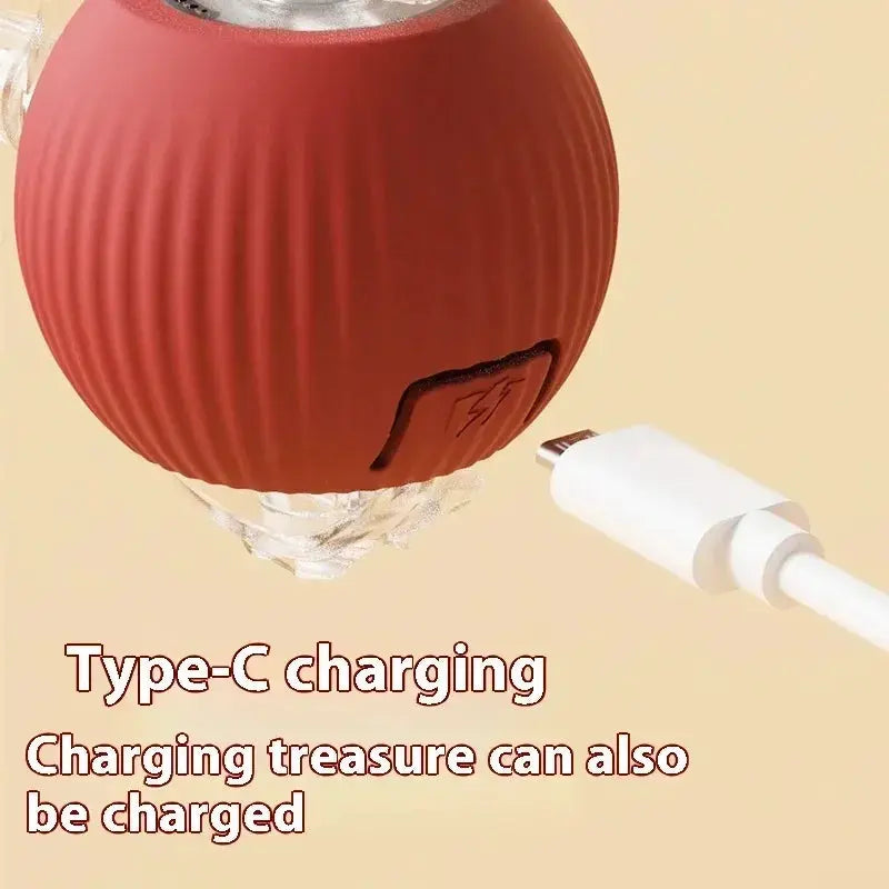 Interactive Auto Electric Rolling Ball Cat Toy for Cats