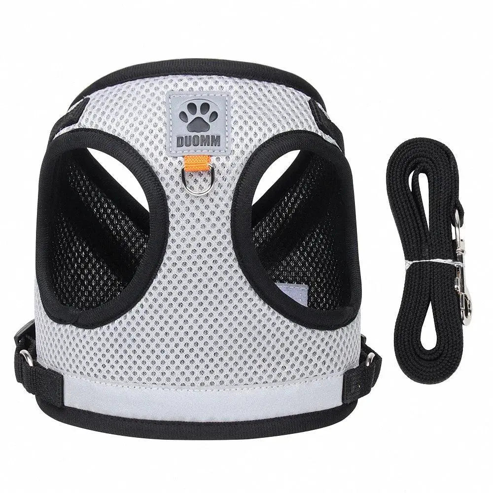 Escape-Proof Cat Harness for Outdoor Use — product view 13