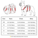 No-Pull Reflective Dog Harness for Walks