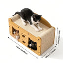 House Cat House Cat