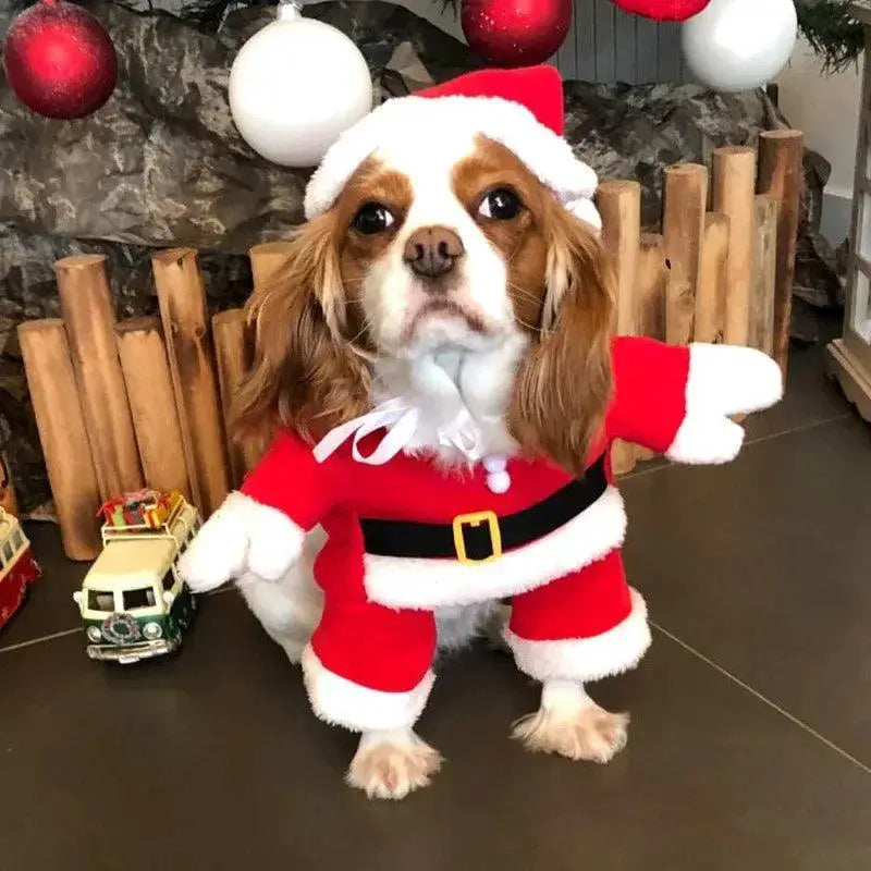 Adorable Santa Costume For Pets Warm Holiday Outfit